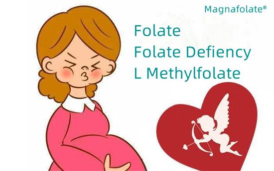 Фолиевая кислота и дефицит фолиевой кислоты