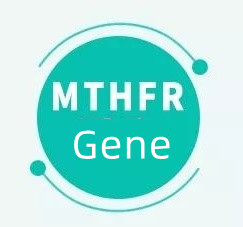 Что это значит, если у вас есть ген MTHFR?