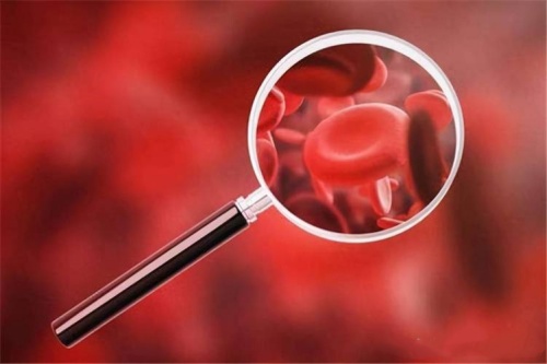 Почему дефицит фолиевой кислоты вызывает анемию